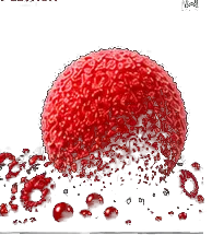 Berry Edition